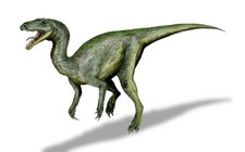 Imagen de Gojirasaurus