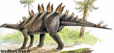Imagen de Loricatosaurus
