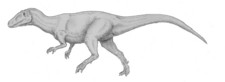 Imagen de Magnosaurus