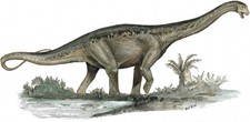 Imagen de Malarguesaurus