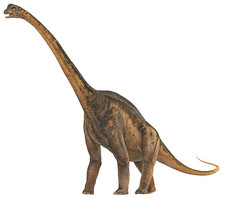 Imagen de Malawisaurus