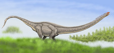 Imagen de Mamenchisaurus