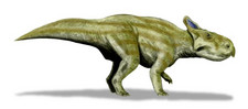 Imagen de Montanoceratops