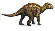 Imagen de Morinosaurus