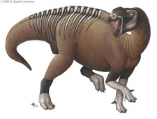 Imagen de Muttaburrasaurus