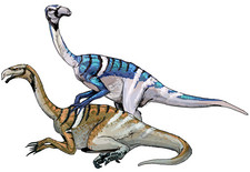 Imagen de Nanshiungosaurus