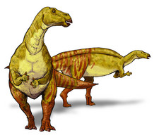 Imagen de Nanyangosaurus