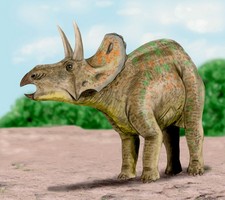 Imagen de Nedoceratops