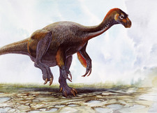 Imagen de Neimongosaurus