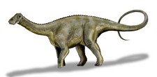 Imagen de Nigersaurus