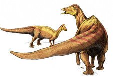 Imagen de Nipponosaurus