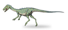 Imagen de Noasaurus