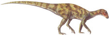 Imagen de Parksosaurus