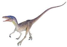 Imagen de Procompsognathus