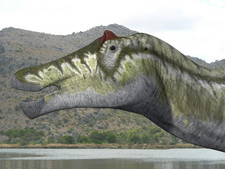 Imagen de Prosaurolophus