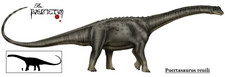 Imagen de Puertasaurus