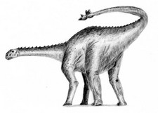 Imagen de Shunosaurus