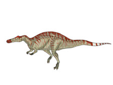 Imagen de Siamosaurus