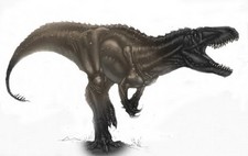 Imagen de Torvosaurus
