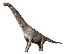 Imagen de Brachiosaurio