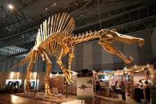 Imagen de Spinosaurus
