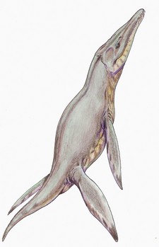 Imagen de Pliosaurus