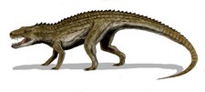 Imagen de Postosuchus
