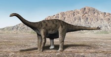 Imagen de Spinophorosaurus