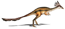 Imagen de Alvarezsaurus