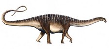Imagen de Amazonsaurus