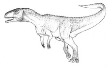 Imagen de Austrocheirus