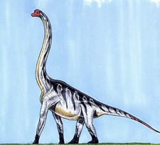 Imagen de Daanosaurus