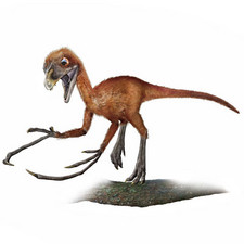 Imagen de Epidendrosaurus