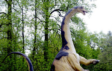 Imagen de Ferganasaurus