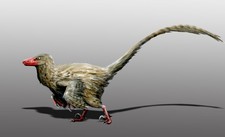 Imagen de Hesperonychus