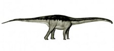 Imagen de Histriasaurus