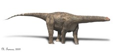 Imagen de Hypselosaurus