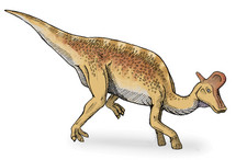 Imagen de Lambeosaurus