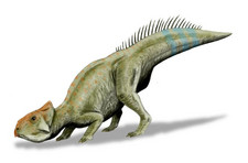 Imagen de Leptoceratops