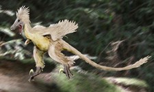 Imagen de Linheraptor