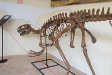 Imagen de Lourinhanosaurus