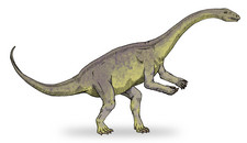 Imagen de Lufengosaurus