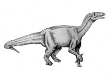 Imagen de Lurdusaurus