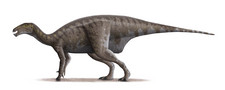 Imagen de Mantellisaurus