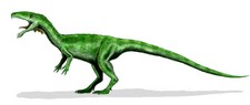 Imagen de Masiakasaurus