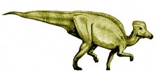 Imagen de Nanningosaurus