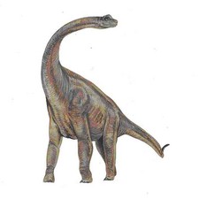 Imagen de Paluxysaurus