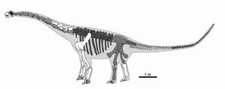 Imagen de Phuwiangosaurus