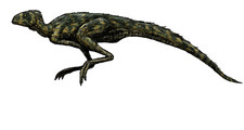 Imagen de Pisanosaurus