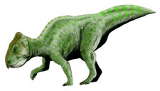 Imagen de Prenoceratops